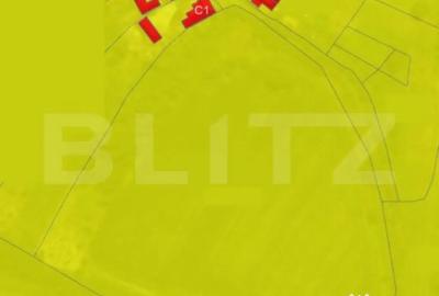 Teren de 21450 mp, în Turda - 3