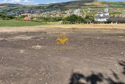 Terenuri de vanzare, Parcelabil, Valea Chintaului, Zona Beta Residence - 9