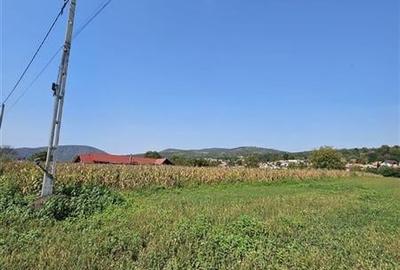 TEREN INTRAVILAN DE VANZARE IN OITUZ JUD. BACAU - 2