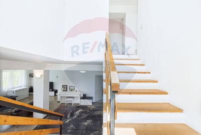 Teren si casa cu 6 camere in Saftica Ilfov - investitie - 12
