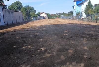 Spațiu comercial, în Domnești