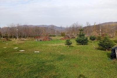 Property 7500m2 a hillside - 5