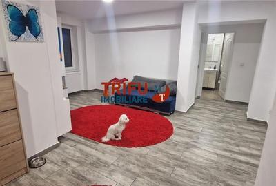 Apartament cu 4 camere decomandat în Central - 9