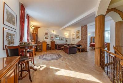 FILM! Castelariu: spectacol panoramic, locatie prestigioasa, exclusivist confort - 14