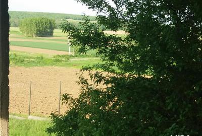 Casă cu 6 camere cu Teren 5000 Mp în Baldovinești - 7