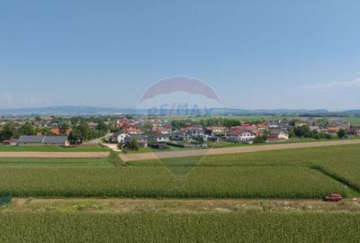 Teren de 1100 mp de vanzare in Stupini - 14