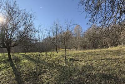 Spațiu comercial, în Central - 1