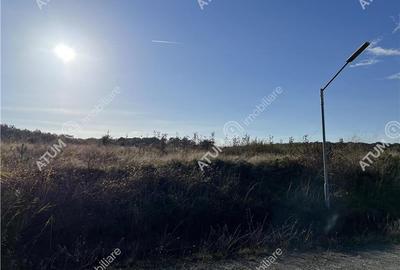Teren intravilan de 6000 mp situat in Sibiu zona industriala Selimbar - 5