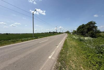 Teren Construcții intravilan de 3400 mp, în 1 Decembrie - 2