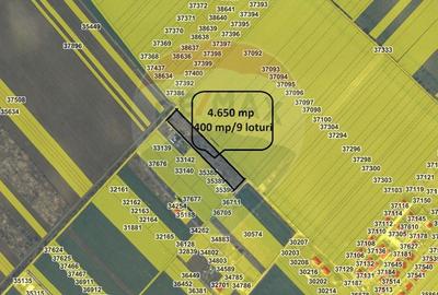 Teren lotizat 4,650mp Sabareni / Strada Cereanca - 2