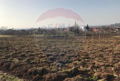 Teren de 2,199 mp cu potential in Covasant, zona deal - 4
