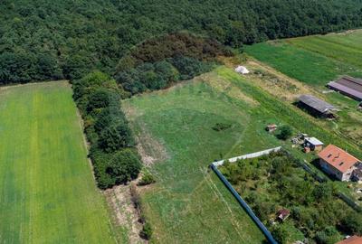 Teren Construcții intravilan de 2469 mp, în Bălata - 5