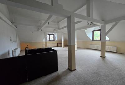 Sagului- Liviu Rebreanu- Casa 200 mp-curte si parcare - 8