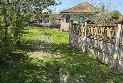 Casă cu Teren 2000 Mp în Gura Vadului - 5