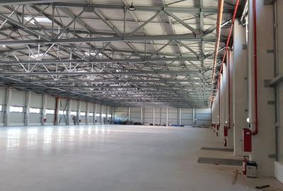Spatiu depozitare si productie Soseaua de centura Otopeni - Odai - 2