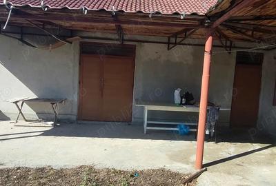 Casă cu 4 camere în Vulturu - 6