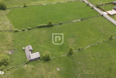 Spațiu comercial, în Pleșa - 2