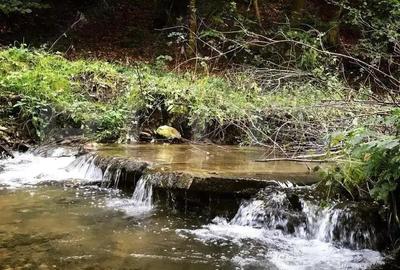 Casa de Vacan?a pe Valea Ighielului 3 camere, 2500 mp curte - 15