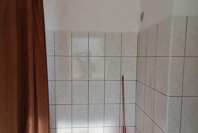 Apartament cu 2 camere decomandat, mobilat în Traian - 3