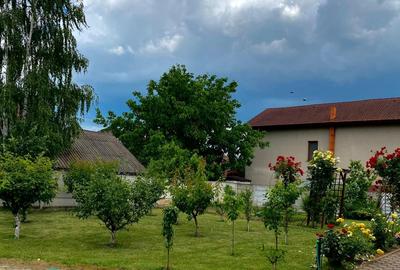 Casă individuală cu 8 camere cu Garaj în Cetate - 10