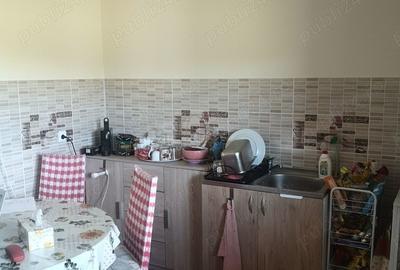 Vand casa la tara Vand casa la tara - 3