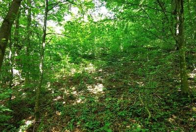 Teren de 900 mp, în Văliug - 13