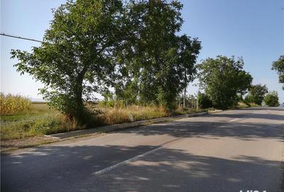 Teren de 5000 mp, în Cristești - 9