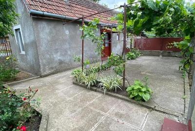 Casă cu 4 camere cu Teren 1656 Mp în Iecea Mică - 3