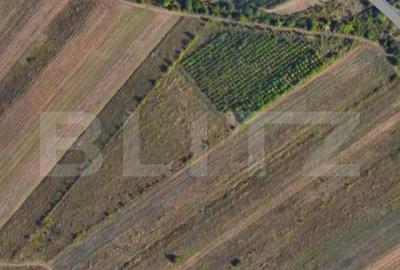 Teren 24.712 mp, parcelabil, zona Nord - 2