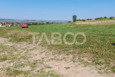 Teren 2400 mp cu deschidere 18 m in Orlat oportunitate investitii - 8