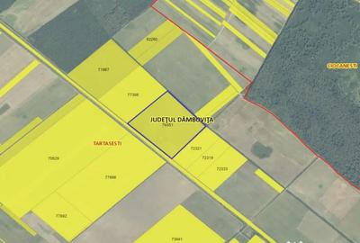 Teren de 133400 mp, în Tărtășești - 2