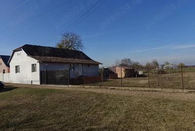 Casă cu 3 camere cu Teren 3500 Mp în Satu Mare - 7