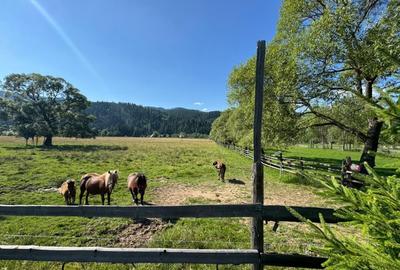 Vanzare 33400 parcelat- 18 loturi - Plaiul Sarului la sosea- microdezvoltare - 18
