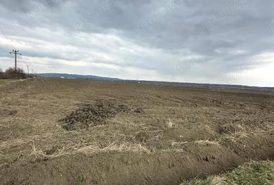 Teren de 24100 mp, în Adânca - 3