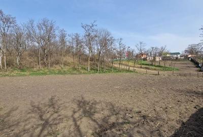 Casă cu 2 camere în Costești - 6