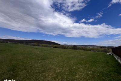 Spațiu comercial, în Gilău - 2
