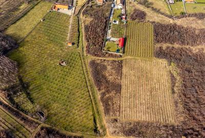 Teren intravilan in ?iria pe deal - 2