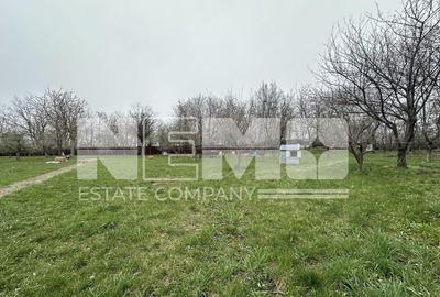 De Vanzare Teren 25 ari I Zamca, Suceava I 900.000 - 6