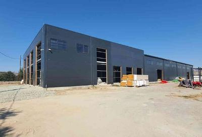Hala moderna cu ISU, nod A4 Ovidiu 1600m2 - 2