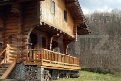 Cabana, 3 camere, 80 mp, localizata la 100 km de Timisoara - 2