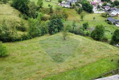 Teren Construcții intravilan de 6865 mp, în Voroneț - 15