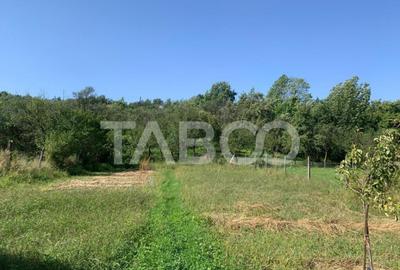 Casă cu 3 camere cu Teren 1293 Mp în Perșani - 2