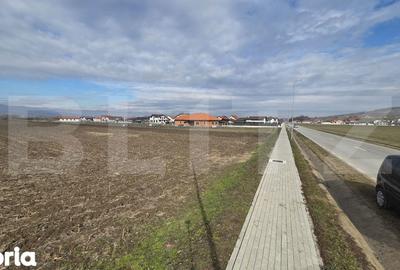Teren de 14300 mp, în Ciugud - 1