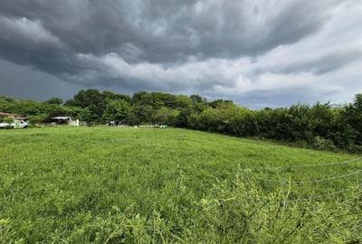 Teren intravilan langa pădure 1260 mp , deschidere 20 ml Prahova -Misl - 11