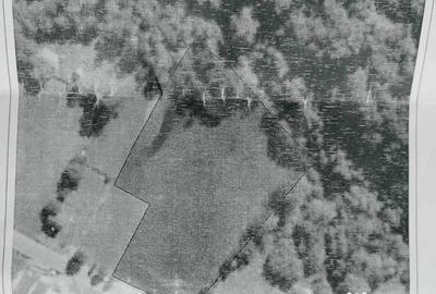 Teren de 5919 mp, în Vale - 2