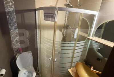 Apartament in curte propie, mobilat, renovat - 6