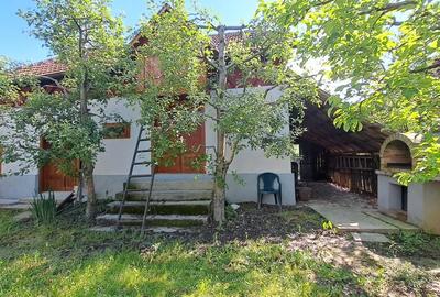 CASA SI LIVADA/ZONA DE DEALURI IMPADURITE/VALEA SCHEII/MANGA/VOINESTI/DAMBOVITA - 9