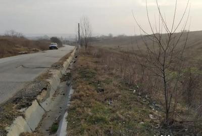 Teren de 10000 mp, în Pielești - 3