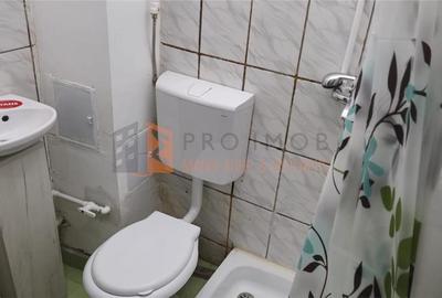 Apartament cu 2 camere decomandat, mobilat în Broșteni - 10