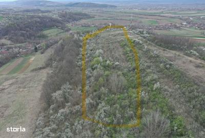 Teren de 8114 mp, în Holod - 7